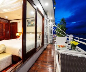 Japan tours appeal to Vietnamese tourists