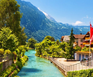 Dã quỳ phủ vàng sườn đồi ngoại thành Đà Lạt