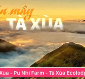 Mai chau test nhieu ngay